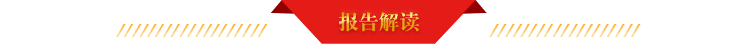 报告解读