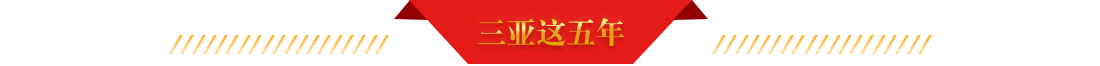 三亚这五年